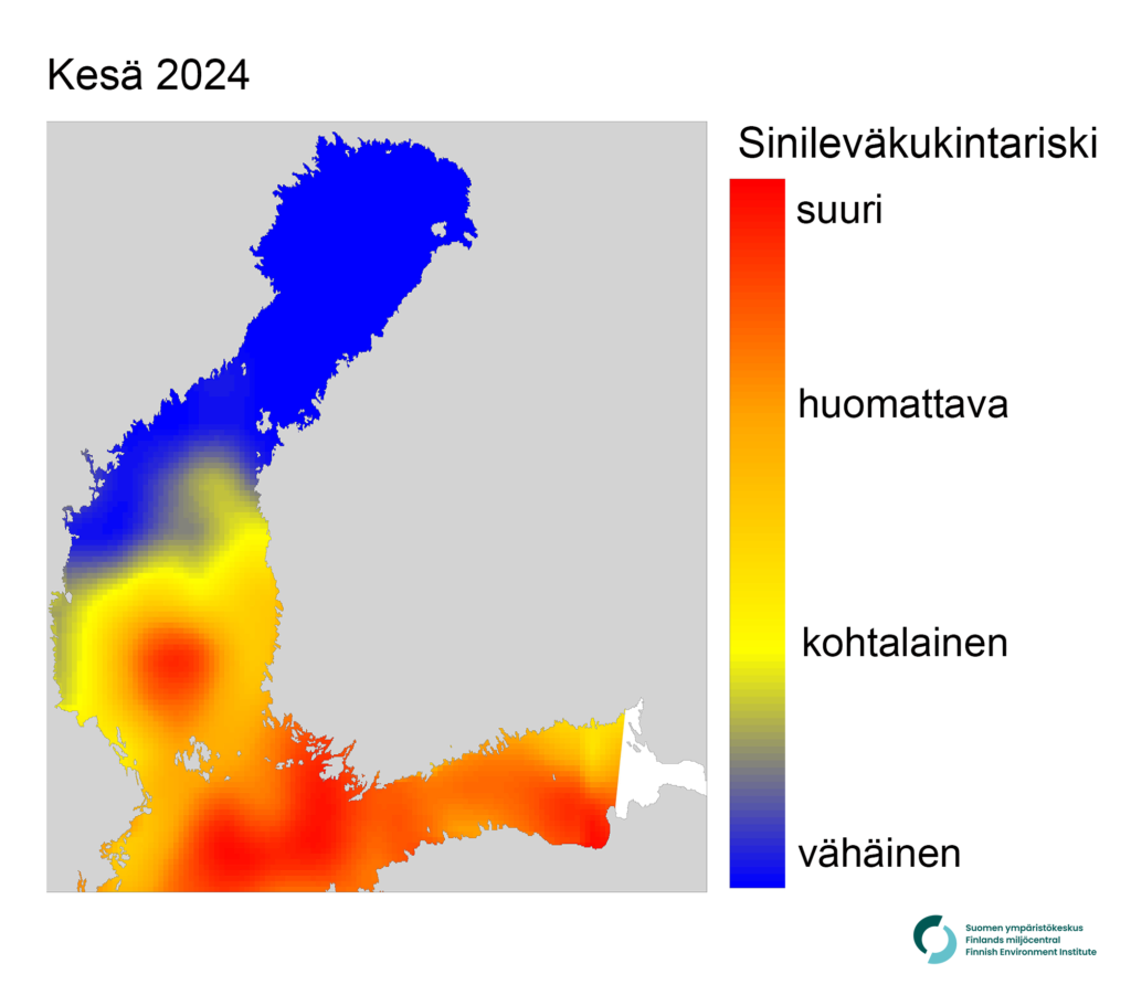 Suomen ympäristökeskuksen sinileväkukintariskikartta kesälle 2024